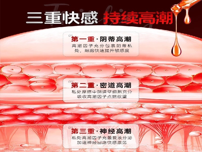 马女士·餐饮主 客户案例
